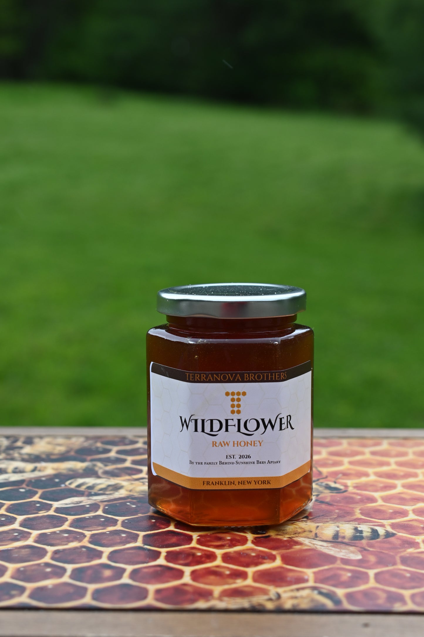 Wildflower Raw Honey — Terranova Brothers