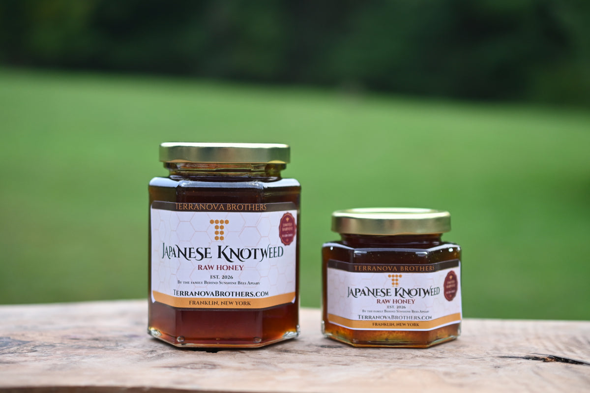 Japanese Knotweed Raw Honey