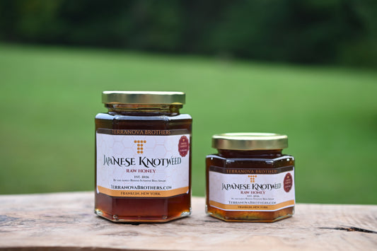 Japanese Knotweed Raw Honey