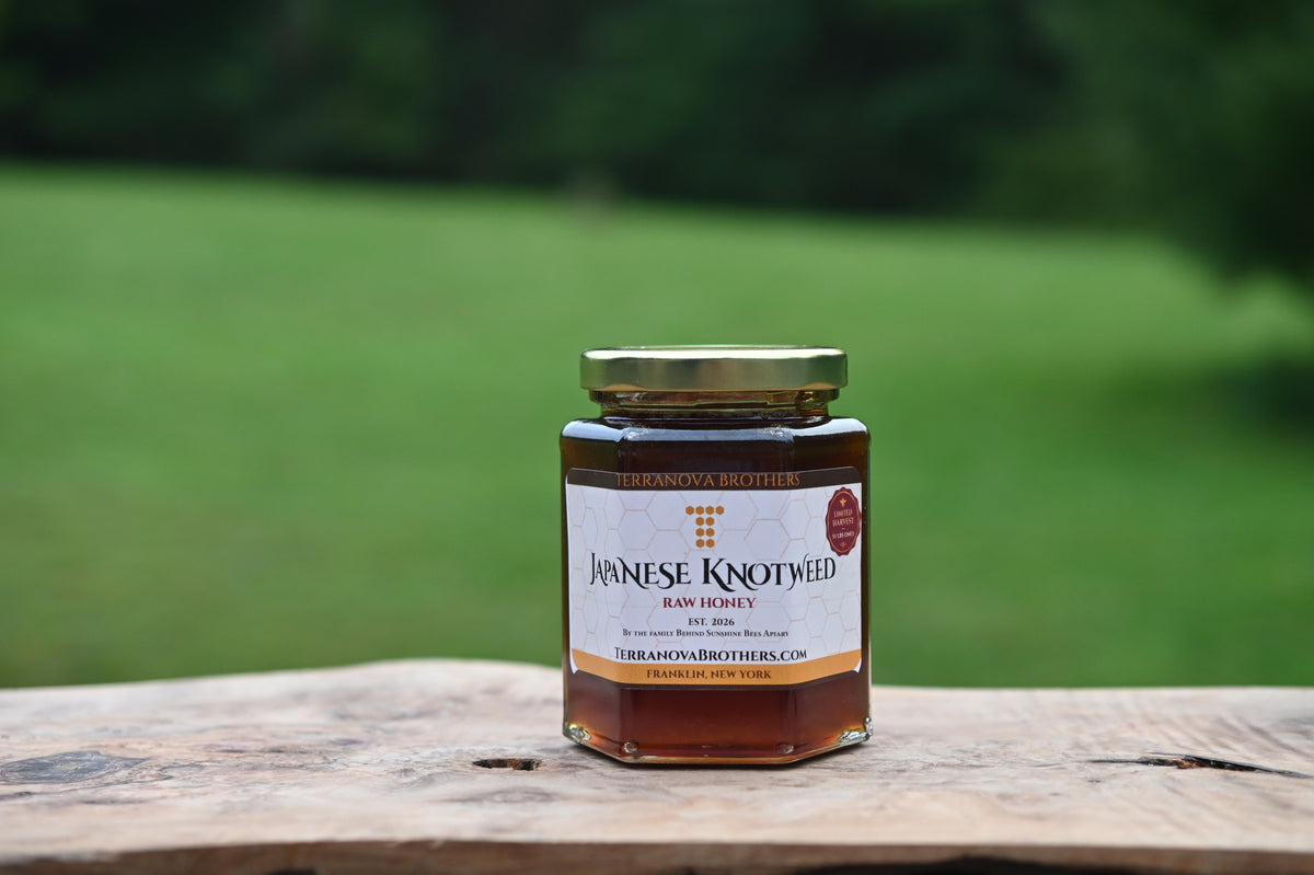 Japanese Knotweed Raw Honey