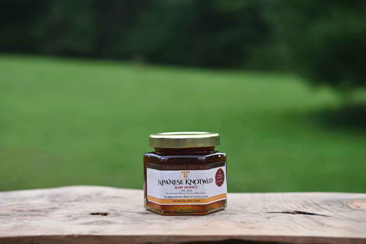 Japanese Knotweed Raw Honey